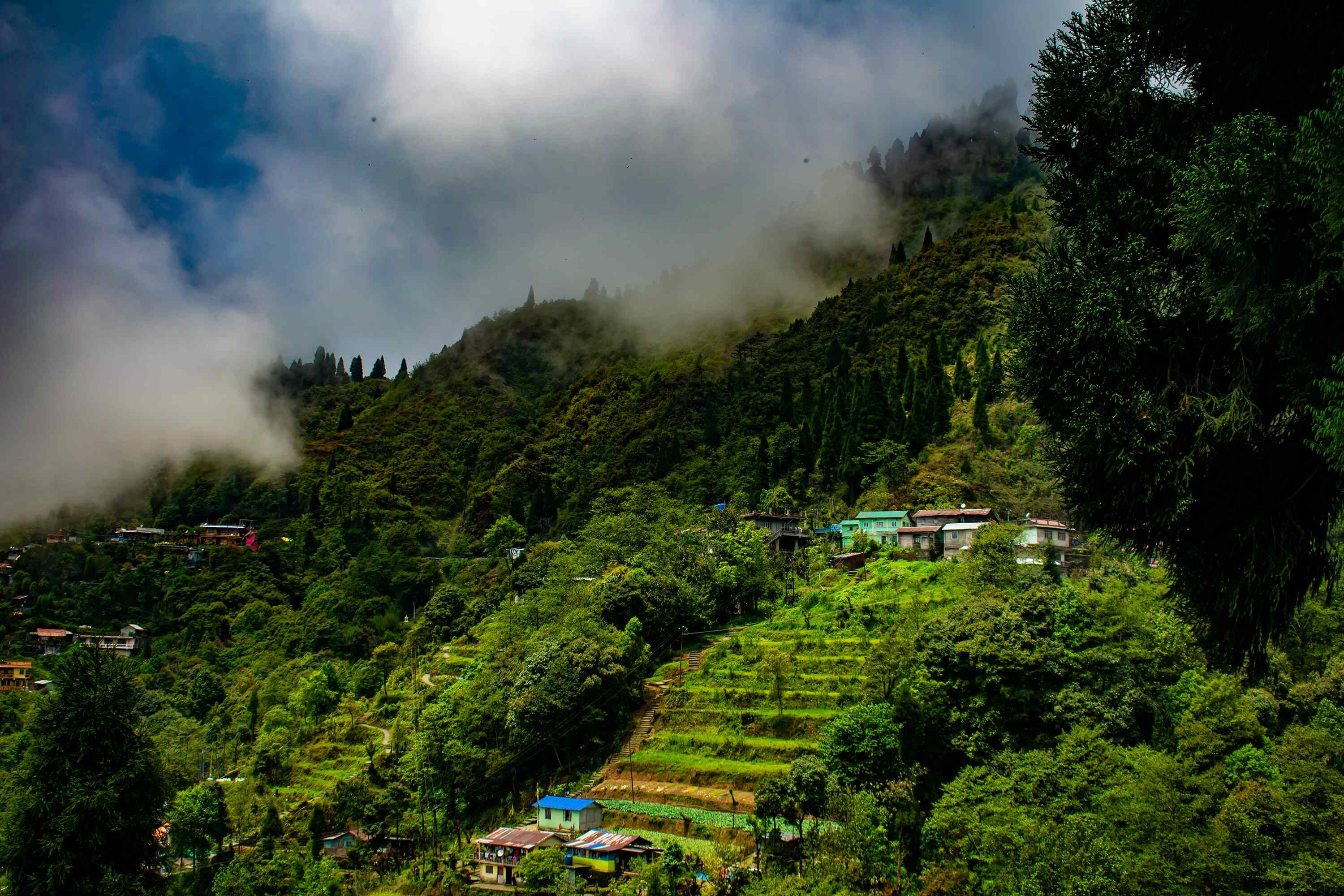 Dazzling Darjeeling Tour Packages